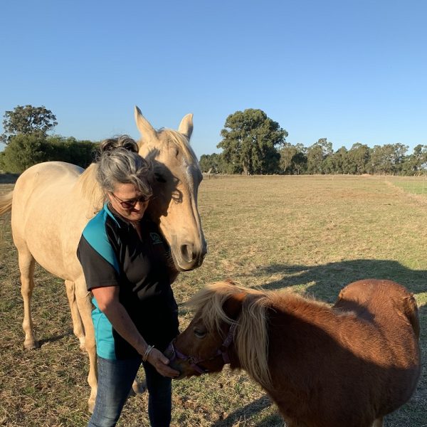 Equine Assisted Counselling for the Christian Counsellor