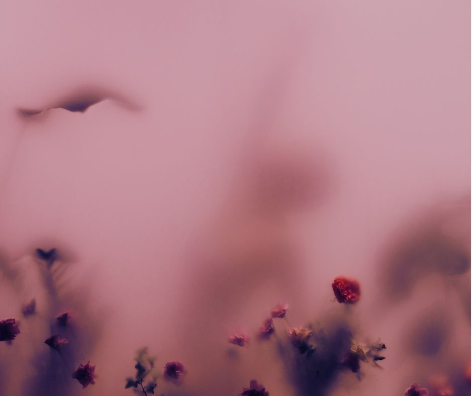 Therapists as translators: Promoting the Client’s experience through Language